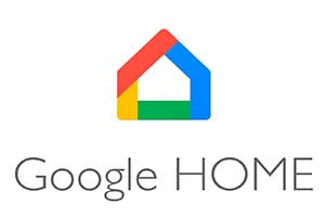 google home Dom STORE